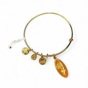 Alex and Ani Gold Bangle with Orange Charms